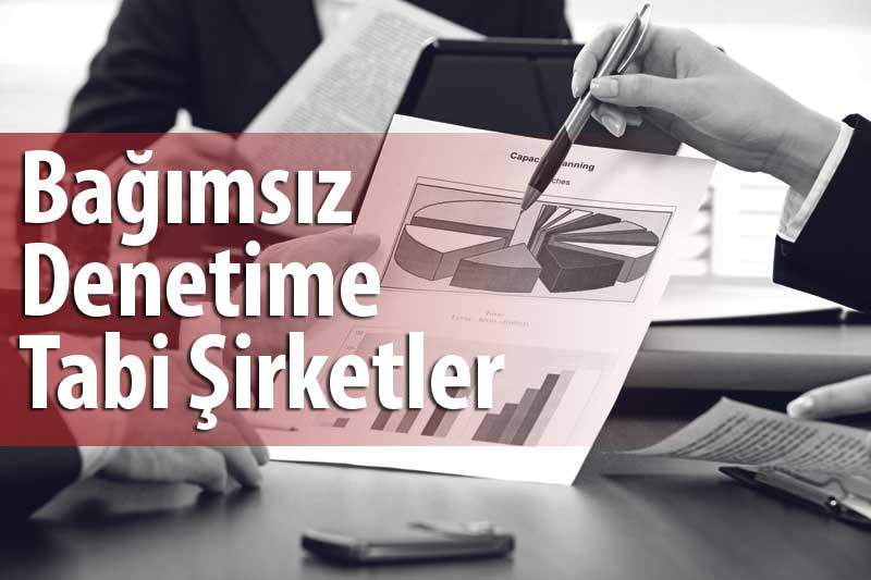 Bağımsız Denetim, Varlıkların Gerçeğe Uygun Değeri ve Gayrimenkul Değerlemesi