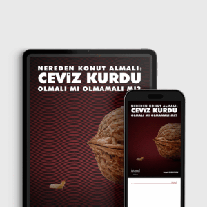 Nereden Konut Almalı? Ceviz Kurdu Olmalı mı Olmamalı mı?