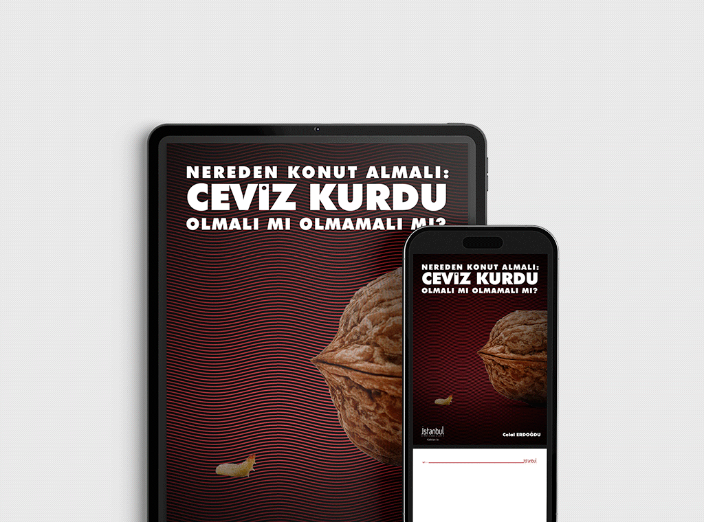 Nereden Konut Almalı? Ceviz Kurdu Olmalı mı Olmamalı mı?